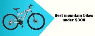 best mtb for 500 pounds