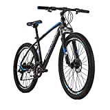 best mountain bike under 300 dollars