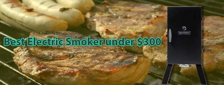 Best Electric Smoker under 300 Dollars of 2022