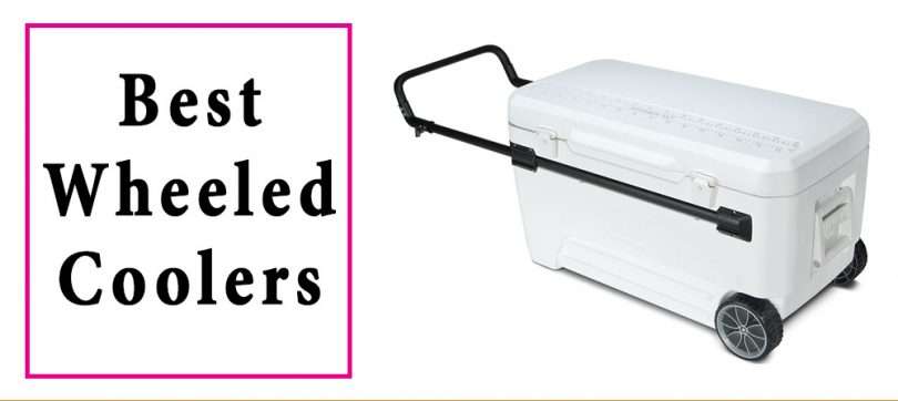 Best-Wheeled-Coolers
