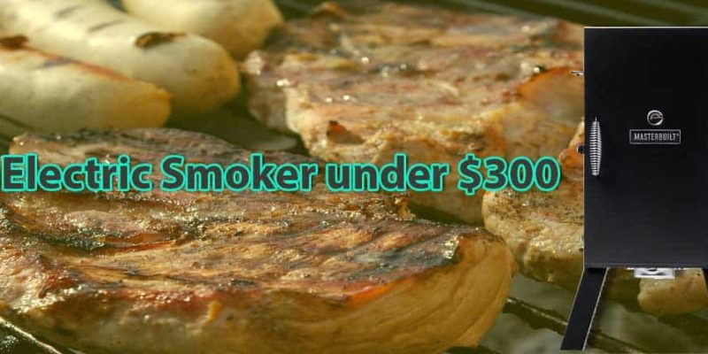 Best Electric Smoker under 300 Dollars of 2024