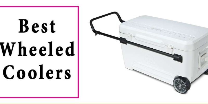 Top 10 Best Wheeled Coolers Buying Guide